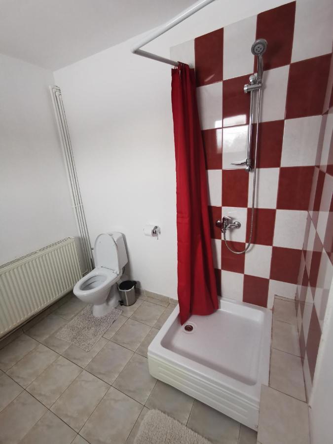 Casa De Oaspeti Wallendorf Bistrita Unirea Εξωτερικό φωτογραφία